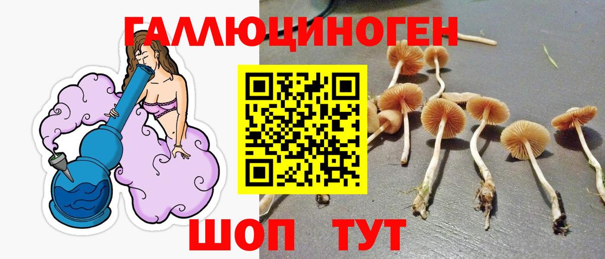 Аксай  Галлюциногенные грибы GOLDEN TEACHER  Вход с VPN  Псилоцибиновые грибы Psilocybe 